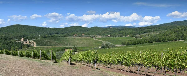Beautiful Landscape Vineyards Tuscany Blue Sky Chianti Region Summer Season — Photo