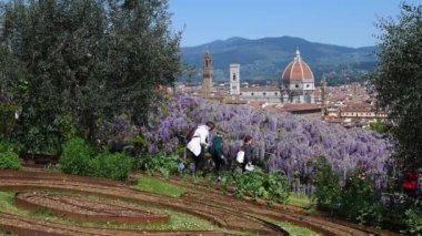 Floransa, Nisan 2019: Turistler Floransa 'daki ünlü Santa Maria del Fiore Katedrali' ne, güzel mor salkımlı Michelangelo Meydanı 'na yakın bir bahçeden hayran kaldılar. Floransa, İtalya