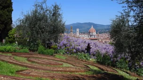 フィレンツェ 2019年4月 フィレンツェの有名なサンタ マリア フィオーレ大聖堂を ピアッツァーレ ミケランジェロの近くの庭園から眺めることができます フィレンツェ イタリア — ストック動画