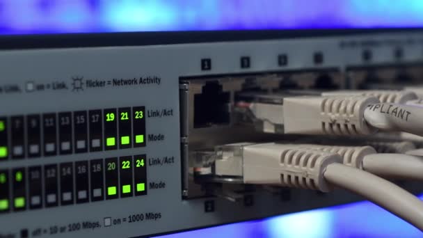 Przełączniki Serwera Ethernet Data Center Wysyłające Odbierające Dane Przez Ethernet — Wideo stockowe