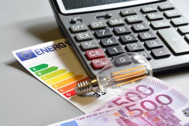 Enerji tasarrufu ampulü, hesap makinesi ve enerji verimliliği derecelendirme tablosunu 500 avroluk banknotlarla kapatın. Artan elektrik maliyeti kavramı. Pahalı enerji faturası ve artan elektrik fiyatları.