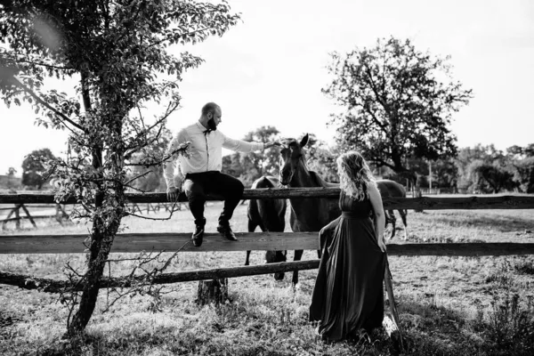 一对恋人在约会 马背上骑马 紫色衣服 黑白照片 — 图库照片