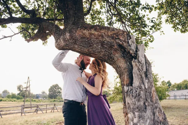 Casal Num Encontro Vestido Roxo Noiva Noivo Caminhe Campo História — Fotografia de Stock