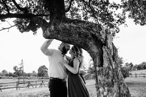 Casal Num Encontro Vestido Roxo Noiva Noivo Caminhe Campo História — Fotografia de Stock