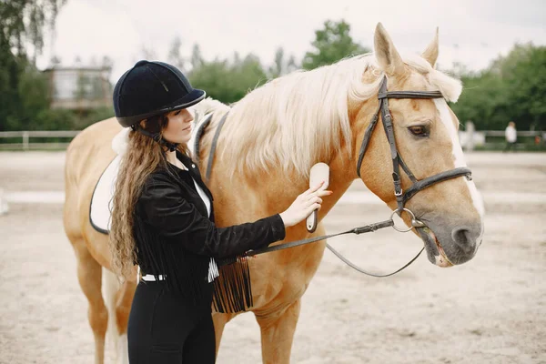 Portrait of riding horse with woman in black helmet with comb — Stockfoto