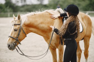Portrait of riding horse with woman in black helmet