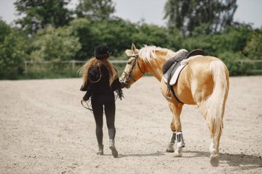 Portrait of riding horse with woman in black helmet