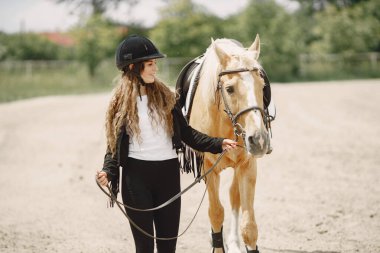 Portrait of riding horse with woman in black helmet
