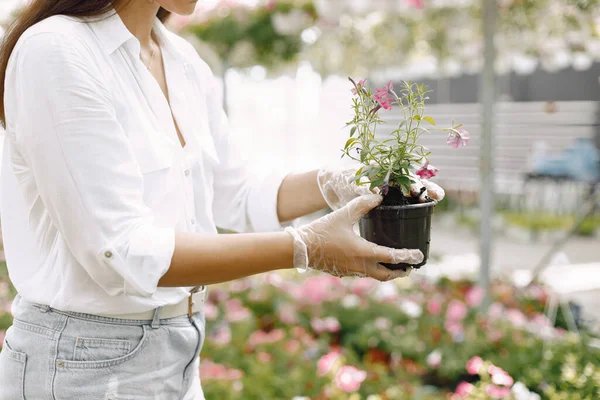 Imagen recortada de manos de jardinero femenino, sosteniendo maceta con flor joven para plantar — Foto de Stock