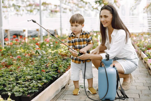 Mamá ayuda a su pequeño hijo flores de agua con rociador de agua en el invernadero — Foto de Stock