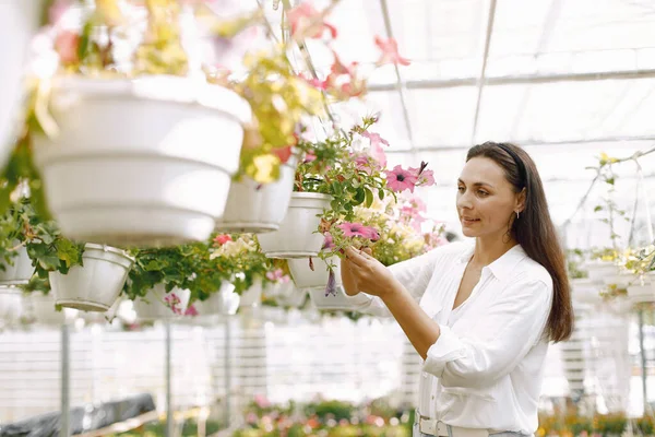 Kadın bahçıvan teftiş yan görünüm serada asılı bitki saksı