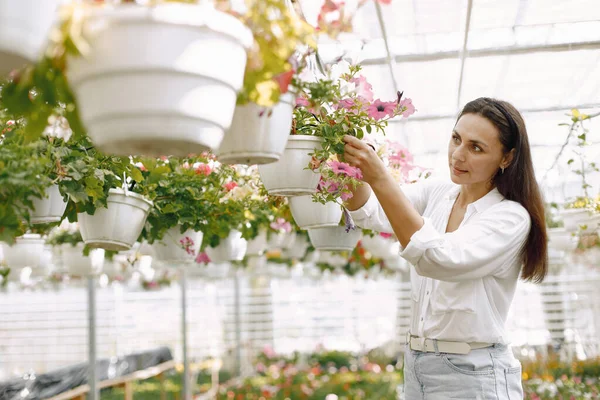 Side view of female gardener inspecting potted plants hanging in greenhouse