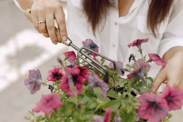 Enfócate en las manos recortadas de una jardinera que inspecciona plantas en maceta en invernadero — Foto de Stock