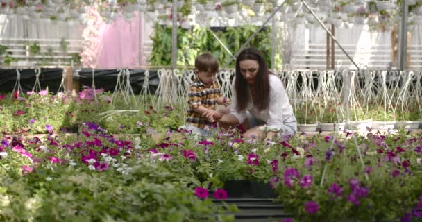 Máma a syn tráví volný čas ve skleníku — Stock video