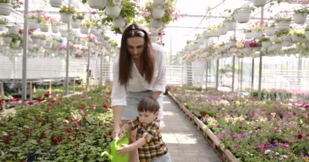 Egy nő a fiával növényeket locsolt egy üvegházban. — Stock videók