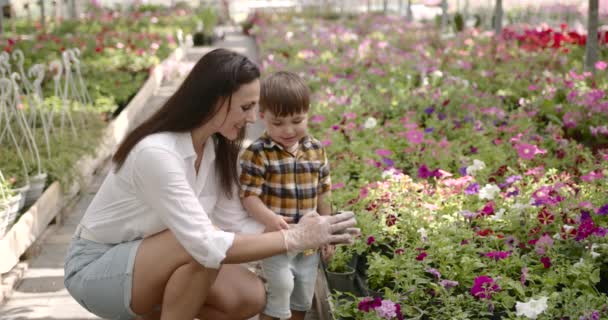 Mamá e hijo pasan tiempo libre en el invernadero — Vídeos de Stock