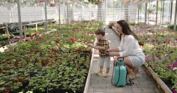 Žena se svým synem zalévání rostlin ve skleníku — Stock video