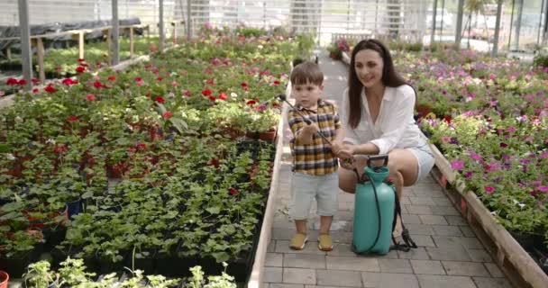 Vrouw met haar zoon water geven planten in een kas — Stockvideo