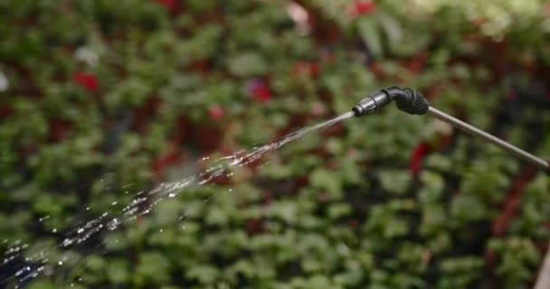 Wasser aus der Sprinkleranlage aus nächster Nähe — Stockvideo