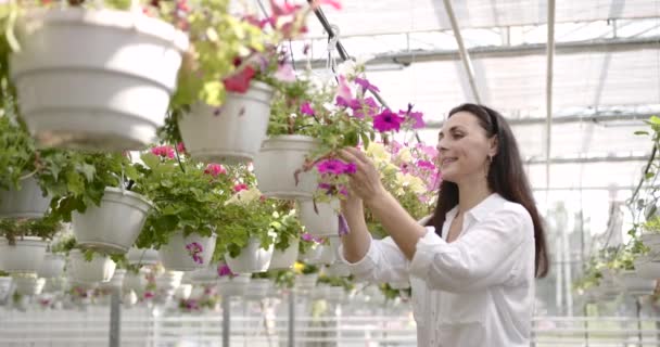 Ženské květinářství škrty rostliny v zahradním centru — Stock video