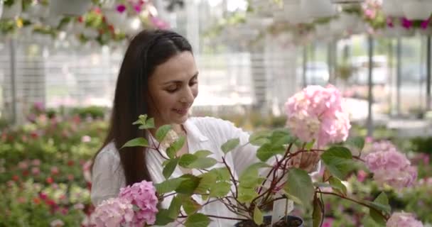 Женщина-флористка режет растение в центре сада — стоковое видео