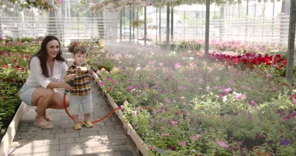 Frau gießt mit ihrem Sohn Pflanzen in einem Gewächshaus — Stockvideo