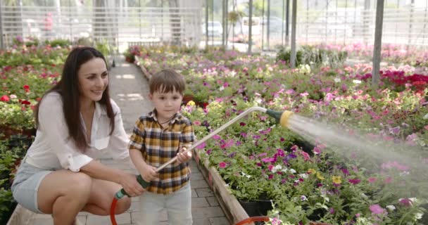 Žena se svým synem zalévání rostlin ve skleníku — Stock video