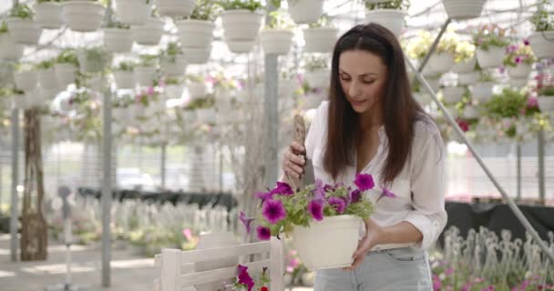 Mujer europea deshierbe flor en maceta en invernadero — Vídeos de Stock