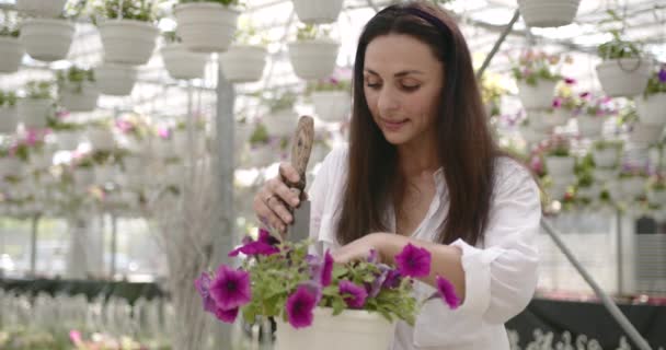 Femme européenne désherbage fleur en pot à la serre — Video