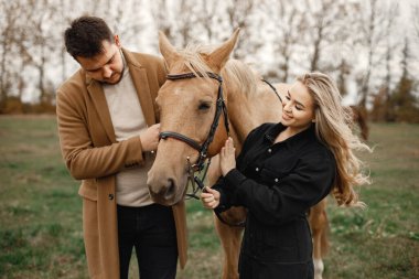Tarlada kahverengi atlı romantik bir çift.