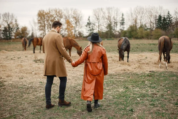 Couple romantique marchant dans les champs avec des chevaux — Photo
