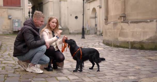 年轻人和他们的宠物呆在一起 友谊的概念 老欧洲城市 — 图库视频影像