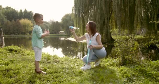 가족끼리 공원에서 시간을 보내는 것이다 공원에서 가족의 관계와 여가를 보내는 — 비디오