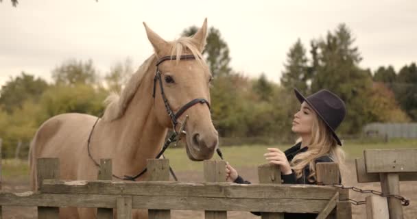 Junges Schönes Mädchen Umarmt Pferd Der Natur Pferdeliebhaber — Stockvideo