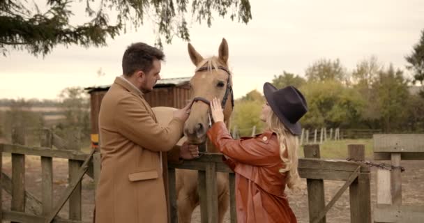 Young Couple Romantic Date Petting Beautiful Horse Autumn Park — Stockvideo