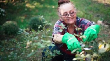 Bahçe eldivenli güzel, olgun bir kadın bahçede çalışıyor.