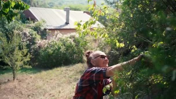 Heureuse belle femme mûre en lunettes travaille dans le jardin coupe des branches sèches — Video