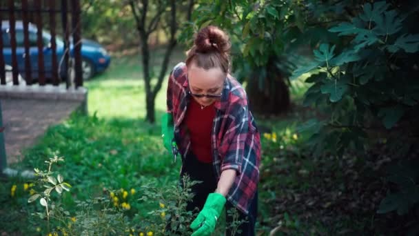 Feliz hermosa mujer madura en guantes de jardinería trabaja en el jardín — Vídeo de stock