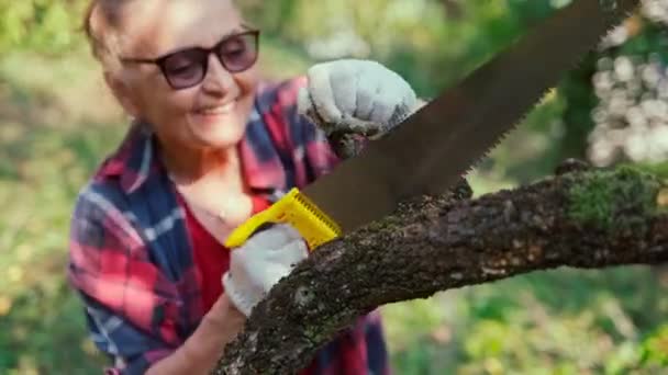 Mujer adulta madura aserrando ramas de árboles secos con una sierra — Vídeo de stock