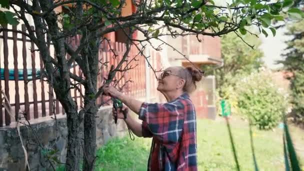 Gelukkig mooi volwassen vrouw in bril werkt in de tuin snijdt droge takken — Stockvideo