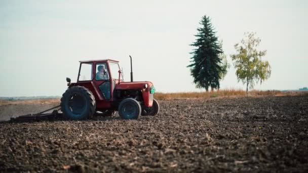 Bir traktör hasat sonrası tarlayı sürüyor. — Stok video