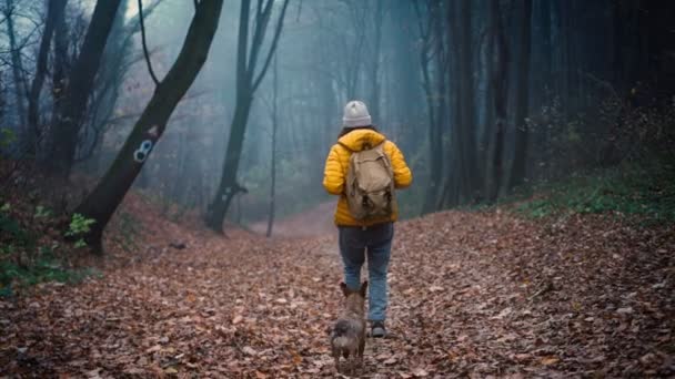 A young woman with a backpack walks through the autumn misty forest with her dog — Stock Video