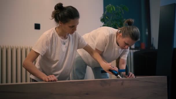 Film záběr mladé lesbičky pár montážní nábytek v jejich novém domově — Stock video