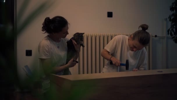 Кинематографический снимок молодой лесбийской пары, собирающей мебель в своем новом доме — стоковое видео