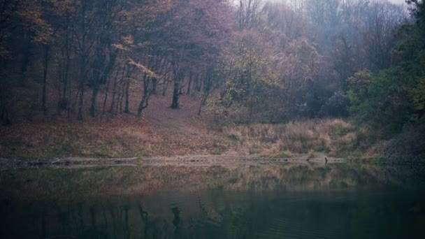 Портативный кинематограф мистического лесного озера — стоковое видео