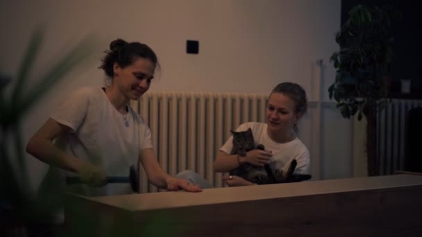 Кинематографический снимок молодой лесбийской пары, собирающей мебель в своем новом доме — стоковое видео