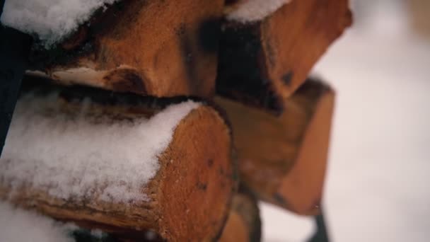 눈이 내리는 동안 눈덮인 통나무들. — 비디오