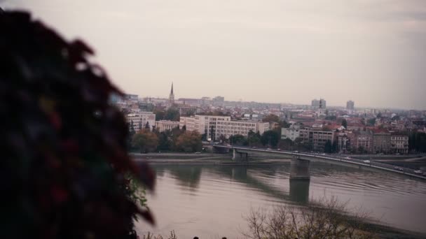 Novi Sad city and the Varadin Bridge view from the hill — Stock Video