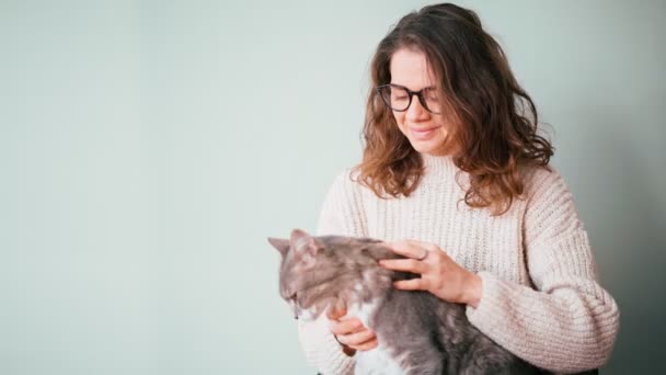 A woman petting her cute gray fluffy cat while holding him in her arms. — Vídeo de Stock