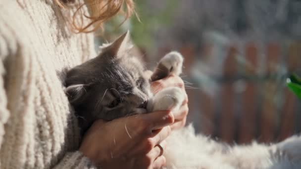 A woman petting her cute gray fluffy cat while holding him in her arms. — Wideo stockowe